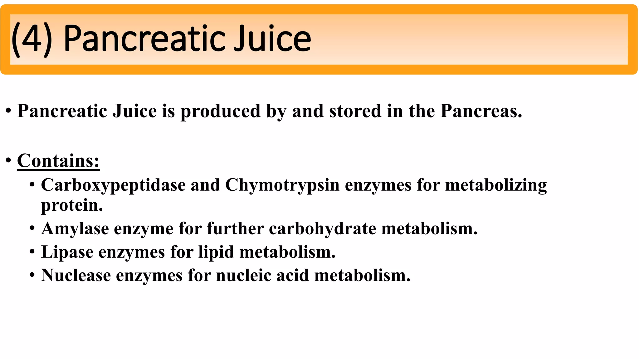 • Pancreatic Juice is produced by and stored in the Pancreas.
• Contains:
• Carboxypeptidase and Chymotrypsin enzymes for metabolizing
protein.
• Amylase enzyme for further carbohydrate metabolism.
• Lipase enzymes for lipid metabolism.
• Nuclease enzymes for nucleic acid metabolism.
(4) Pancreatic Juice
 