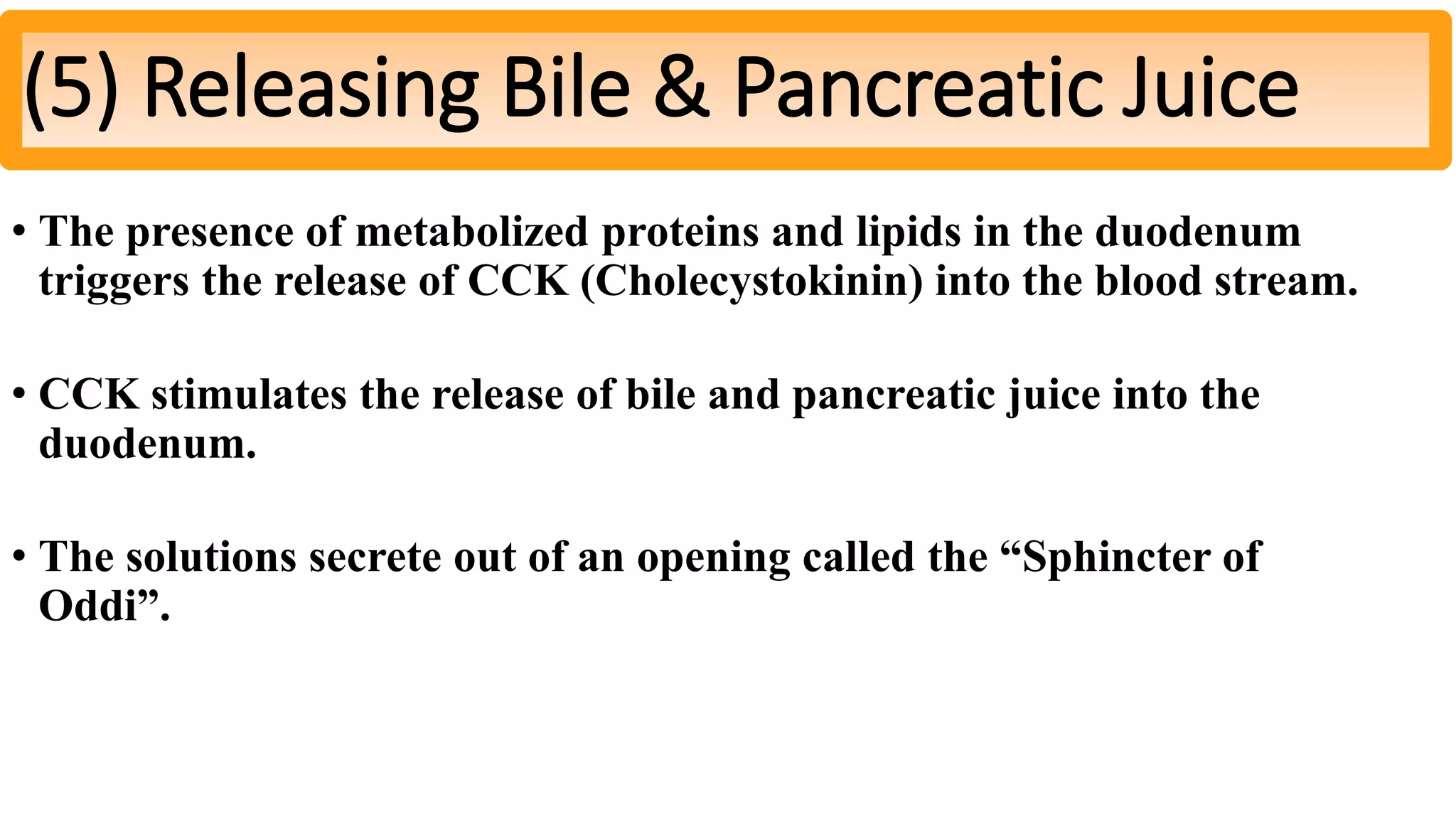 • The presence of metabolized proteins and lipids in the duodenum
triggers the release of CCK (Cholecystokinin) into the blood stream.
• CCK stimulates the release of bile and pancreatic juice into the
duodenum.
• The solutions secrete out of an opening called the “Sphincter of
Oddi”.
(5) Releasing Bile & Pancreatic Juice
 