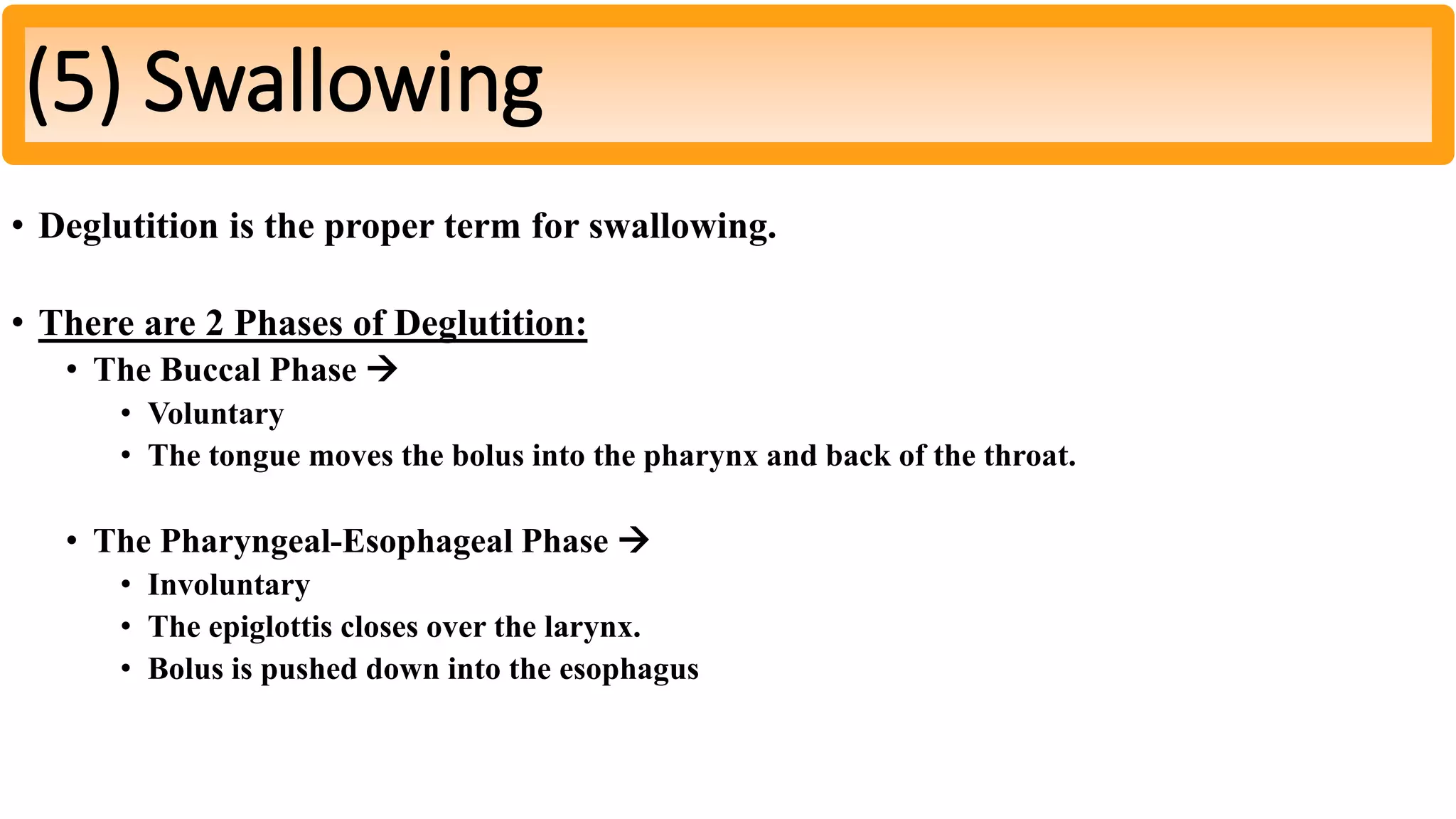 • Deglutition is the proper term for swallowing.
• There are 2 Phases of Deglutition:
• The Buccal Phase 
• Voluntary
• The tongue moves the bolus into the pharynx and back of the throat.
• The Pharyngeal-Esophageal Phase 
• Involuntary
• The epiglottis closes over the larynx.
• Bolus is pushed down into the esophagus
(5) Swallowing
 