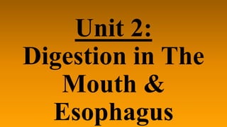 Unit 2:
Digestion in The
Mouth &
Esophagus
 