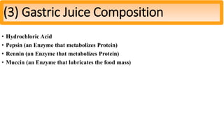 • Hydrochloric Acid
• Pepsin (an Enzyme that metabolizes Protein)
• Rennin (an Enzyme that metabolizes Protein)
• Muccin (an Enzyme that lubricates the food mass)
(3) Gastric Juice Composition
 