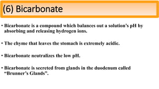 • Bicarbonate is a compound which balances out a solution’s pH by
absorbing and releasing hydrogen ions.
• The chyme that leaves the stomach is extremely acidic.
• Bicarbonate neutralizes the low pH.
• Bicarbonate is secreted from glands in the duodenum called
“Brunner’s Glands”.
(6) Bicarbonate
 