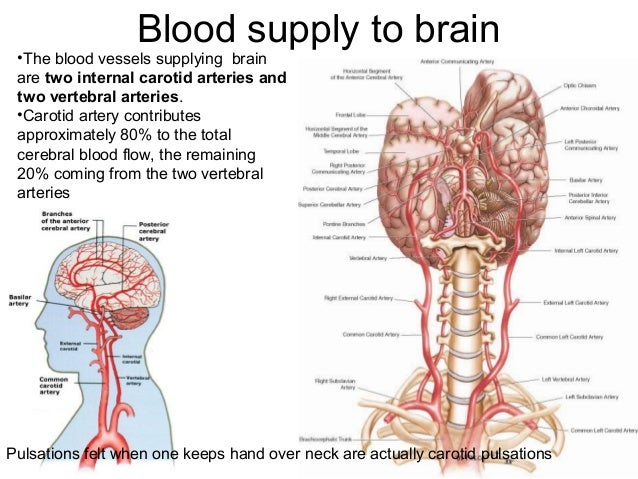 How to improve mental focus concentration photo 5