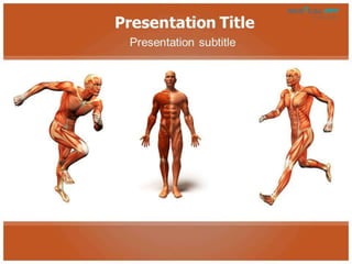 Anatomy Body PowerPoint Templates