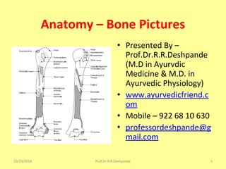 Anatomy – Bone Pictures
• Presented By –
Prof.Dr.R.R.Deshpande
(M.D in Ayurvdic
Medicine & M.D. in
Ayurvedic Physiology)
• www.ayurvedicfriend.c
om
• Mobile – 922 68 10 630
• professordeshpande@g
mail.com
10/24/2018 1Prof.Dr.R.R.Deshpande
 