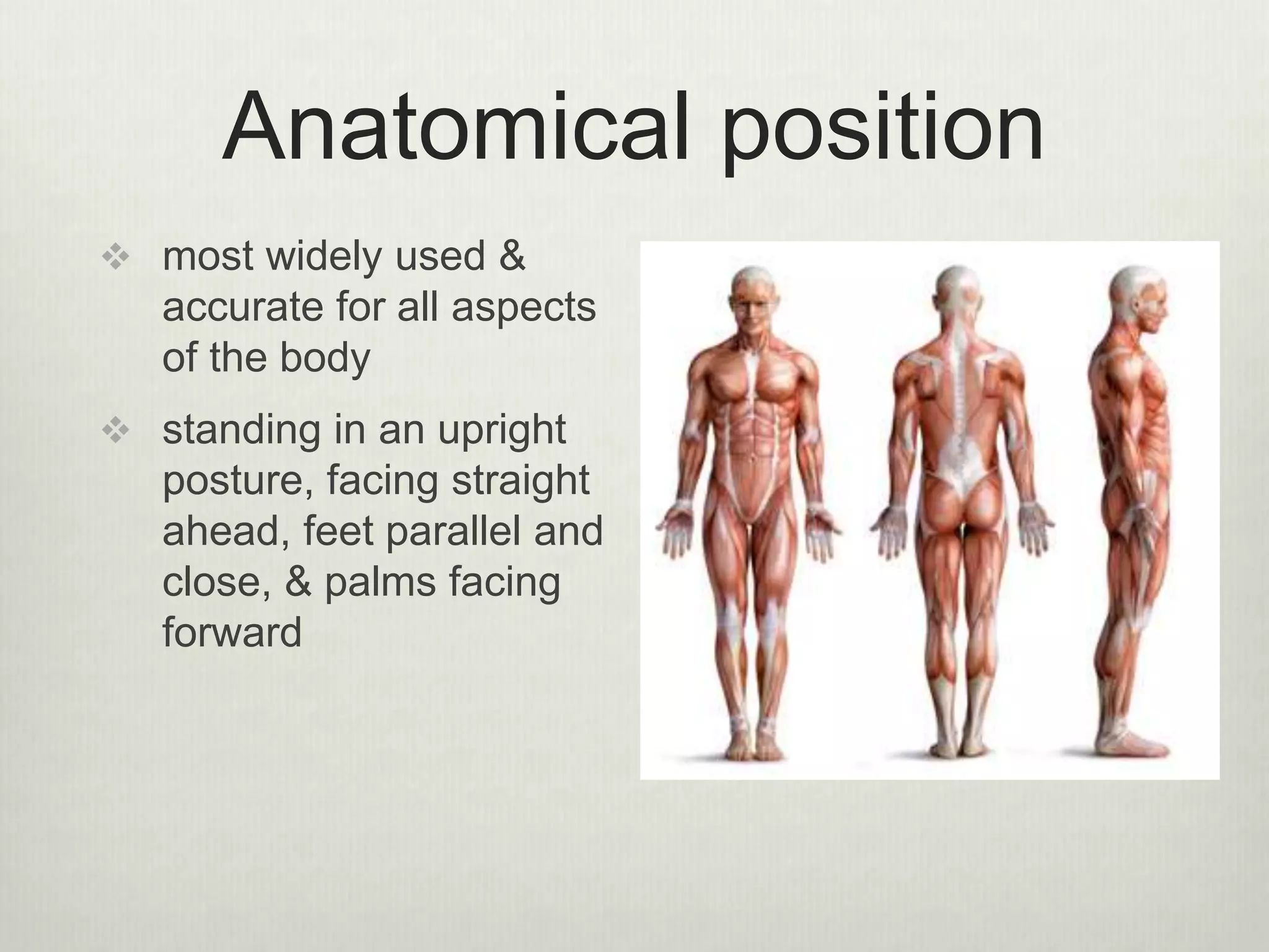 Anatomy, bones And joints | PPTX