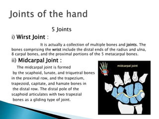5 Joints 
i) Wirst Joint : 
It is actually a collection of multiple bones and joints. The 
bones comprising the wrist include the distal ends of the radius and ulna, 
8 carpal bones, and the proximal portions of the 5 metacarpal bones. 
ii) Midcarpal Joint : 
The midcarpal joint is formed 
by the scaphoid, lunate, and triquetral bones 
in the proximal row, and the trapezium, 
trapezoid, capitate, and hamate bones in 
the distal row. The distal pole of the 
scaphoid articulates with two trapezial 
bones as a gliding type of joint. 
 