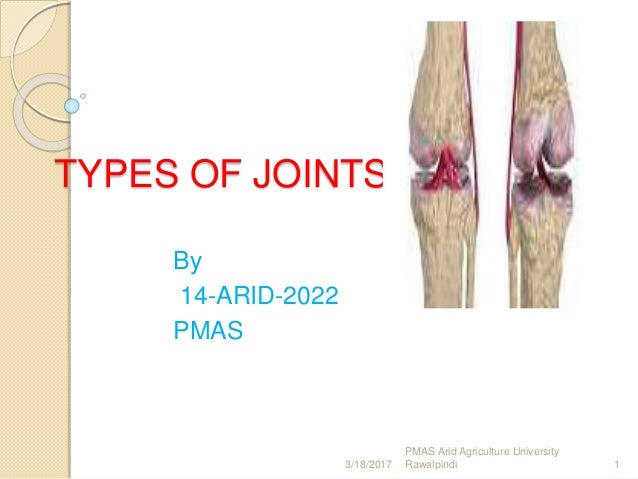 TYPES OF JOINTS