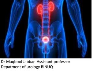 Dr Maqbool Jabbar Assistant professor
Depatment of urology BINUQ
 