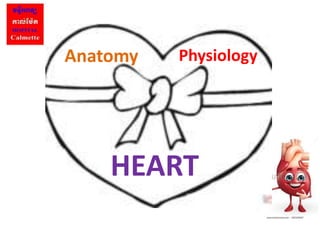 HEART
Anatomy Physiology
 