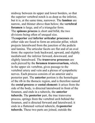 midway between its upper and lower borders, so that
the superior vertebral notch is as deep as the inferior,
but it is, at the same time, narrower. The laminæ are
narrow, and thinner above than below; the vertebral
foramen is large, and of a triangular form.
The spinous process is short and bifid, the two
divisions being often of unequal size.
Thesuperior and inferior articular processes on
either side are fused to form an articular pillar, which
projects lateralward from the junction of the pedicle
and lamina. The articular facets are flat and of an oval
form: the superior look backward, upward, and slightly
medialward: the inferior forward, downward, and
slightly lateralward. The transverse processes are
each pierced by the foramen transversarium, which,
in the upper six vertebræ, gives passage to the
vertebral artery and vein and a plexus of sympathetic
nerves. Each process consists of an anterior and a
posterior part. The anterior portion is the homologue
of the rib in the thoracic region, and is therefore named
the costal process or costal element: it arises from the
side of the body, is directed lateralward in front of the
foramen, and ends in a tubercle, the anterior
tubercle. The posterior part, the true transverse
process, springs from the vertebral arch behind the
foramen, and is directed forward and lateralward; it
ends in a flattened vertical tubercle, theposterior
tubercle. These two parts are joined, outside the
 