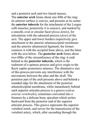 and a posterior arch and two lateral masses.
The anterior arch forms about one-fifth of the ring:
its anterior surface is convex, and presents at its center
the anterior tubercle for the attachment of the Longus
colli muscles; posteriorly it is concave, and marked by
a smooth, oval or circular facet (fovea dentis), for
articulation with the odontoid process (dens) of the
axis. The upper and lower borders respectively give
attachment to the anterior atlantooccipital membrane
and the anterior atlantoaxial ligament; the former
connects it with the occipital bone above, and the latter
with the axis below. The posterior arch forms about
two-fifths of the circumference of the ring: it ends
behind in the posterior tubercle, which is the
rudiment of a spinous process and gives origin to the
Recti capitis posteriores minores. The diminutive size
of this process prevents any interference with the
movements between the atlas and the skull. The
posterior part of the arch presents above and behind a
rounded edge for the attachment of the posterior
atlantoöccipital membrane, while immediately behind
each superior articular process is a groove (sulcus
arteriæ vertebralis), sometimes converted into a
foramen by a delicate bony spiculum which arches
backward from the posterior end of the superior
articular process. This groove represents the superior
vertebral notch, and serves for the transmission of the
vertebral artery, which, after ascending through the
 