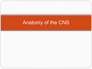 Anatomy of the CNS
 