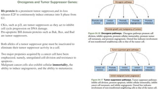 Molecular Mechanisms of Cancer: Oncogenes, Tumor Suppressors, and ...