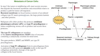 Molecular Mechanisms of Cancer: Oncogenes, Tumor Suppressors, and ...