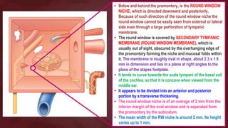 Anatomy & development of the middle ear | PPTX