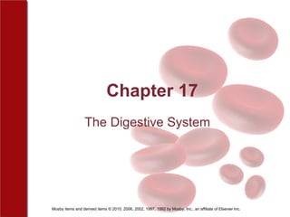 Chapter 17 The Digestive System 