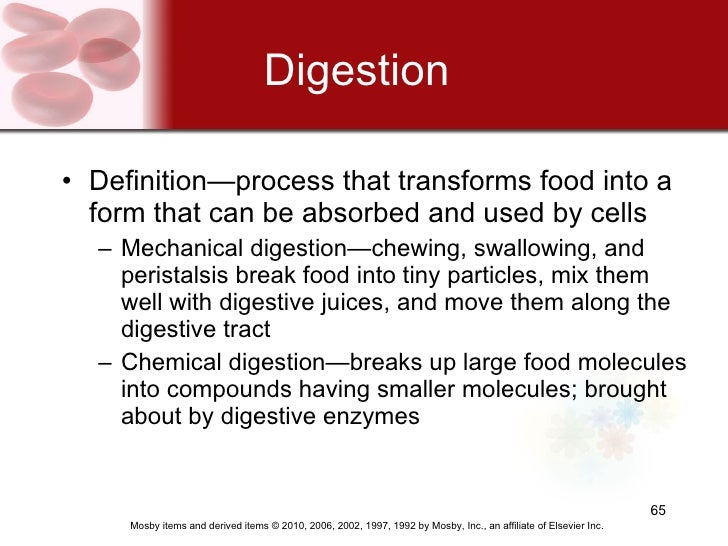 Anatomy d igestivechapter_017