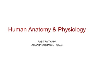 Human Anatomy & Physiology
PABITRA THAPA
ASIAN PHARMACEUTICALS
 