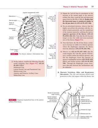 Palpating Ribs Anatomy Dissector - Clementes a book for anatomy class | PDF