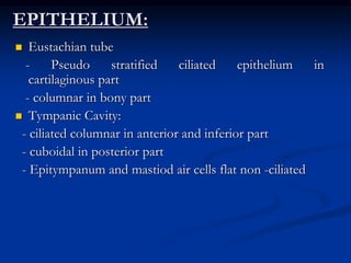 Epitheal Ear Anatomy ear | PPT