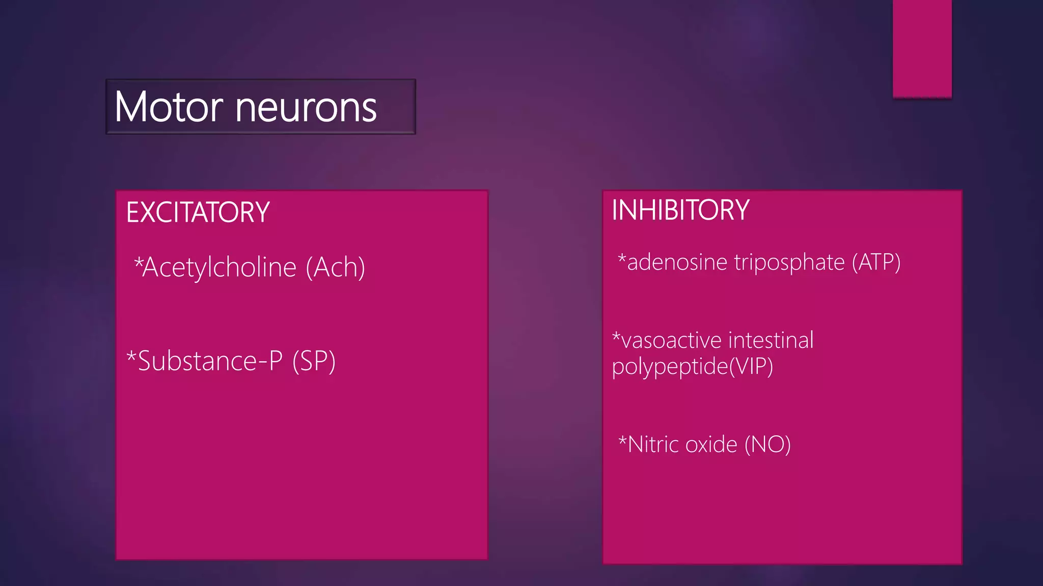enteric nervous system ppt
