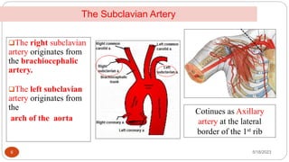 Subclavian First Rib Anatomy final Asst.pptx