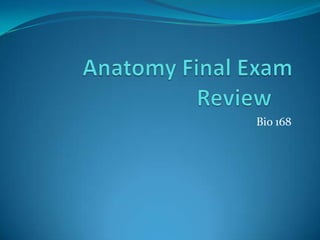 Anatomy Final Exam Review	 Bio 168 