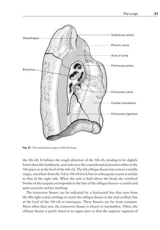 anatomy for anaesthesia.pdf