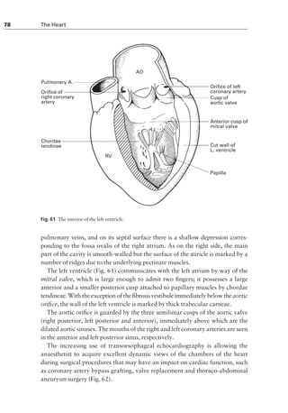 Pectinate Ridges anatomy for anaesthesia.pdf