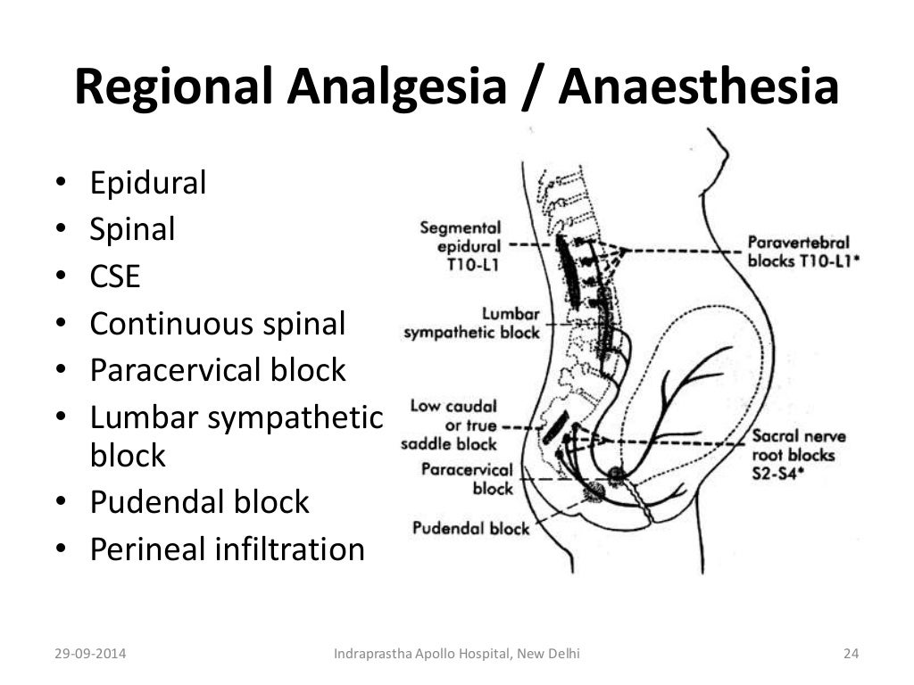 Anatomy for anaesthesia, nerve supply of Uterus & Cervix