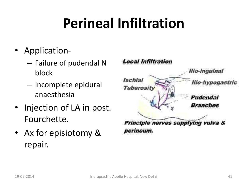 Anatomy for anaesthesia, nerve supply of Uterus & Cervix