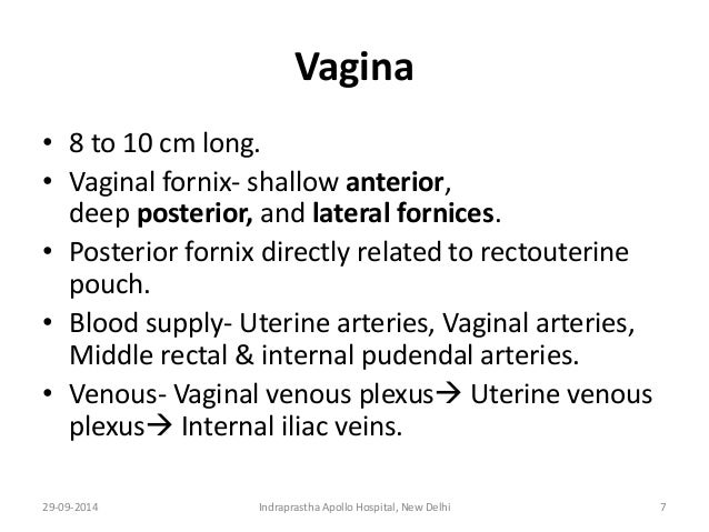 Anatomy for anaesthesia, nerve supply of Uterus & Cervix Anatomy for anaesthesia, nerve supply of Uterus & Cervix