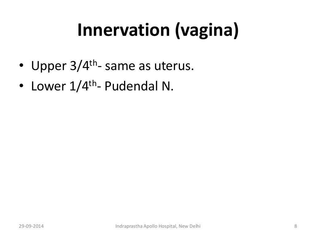 Anatomy for anaesthesia, nerve supply of Uterus & Cervix