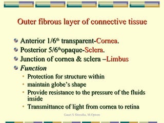 Outer fibrous layer of connective tissue Anterior 1/6 th  transparent- Cornea . Posterior 5/6 th opaque- Sclera . Junction of cornea & sclera – Limbus Function Protection for structure within maintain globe’s shape Provide resistance to the pressure of the fluids inside Transmittance of light from cornea to retina 