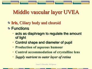 Middle vascular layer UVEA Iris , Ciliary body and choroid Functions acts as diaphragm to regulate the amount of light Control shape and diameter of pupil Production of aqueous humour Control accommodation of crystalline lens Supply nutrient to outer layer of retina 