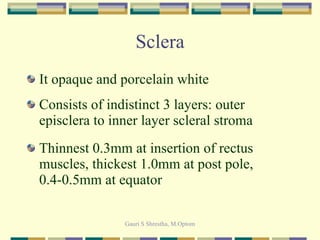 Sclera It opaque and porcelain white Consists of indistinct 3 layers: outer episclera to inner layer scleral stroma Thinnest 0.3mm at insertion of rectus muscles, thickest 1.0mm at post pole, 0.4-0.5mm at equator 