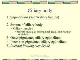 Ciliary body 1. Supraciliaris (supraciliary lamina) 2. Stroma of ciliary body Ciliary muscles Smooth muscle of longitudinal, radial and circular orientation 3. Outer pigmented ciliary epithelium  4. Inner non-pigmented ciliary epithelium 5.  Internal limiting membrane 