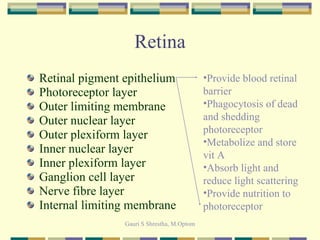 Retina Retinal pigment epithelium Photoreceptor layer Outer limiting membrane Outer nuclear layer Outer plexiform layer Inner nuclear layer Inner plexiform layer Ganglion cell layer Nerve fibre layer Internal limiting membrane Provide blood retinal barrier Phagocytosis of dead and shedding photoreceptor Metabolize and store vit A Absorb light and reduce light scattering Provide nutrition to photoreceptor 