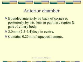 Anterior chamber Bounded anteriorly by back of cornea & posteriorly by iris, lens in pupillary region & part of ciliary body. 3.0mm (2.5-4.4)deep in centre. Contains 0.25ml of aqueous humour. 