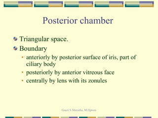 Posterior chamber  Triangular space. Boundary anteriorly by posterior surface of iris, part of ciliary body posteriorly by anterior vitreous face centrally by lens with its zonules 