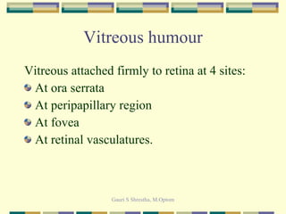 Vitreous humour Vitreous attached firmly to retina at 4 sites: At ora serrata At peripapillary region At fovea At retinal vasculatures. 