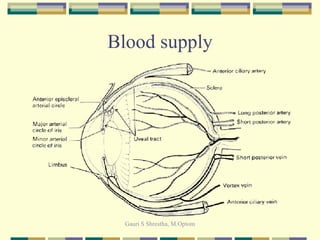Blood supply 