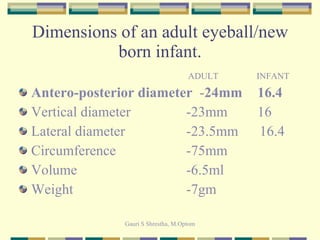 Dimensions of an adult eyeball/new born infant.   ADULT   INFANT Antero-posterior diameter   - 24mm   16.4 Vertical diameter   -23mm   16 Lateral diameter   -23.5mm  16.4 Circumference   -75mm Volume   -6.5ml Weight   -7gm 