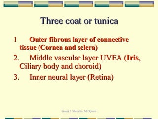 Three coat or tunica 1 Outer fibrous layer of connective tissue (Cornea and sclera) 2.  Middle vascular layer UVEA ( Iris , Ciliary body and choroid) 3. Inner neural layer (Retina) 