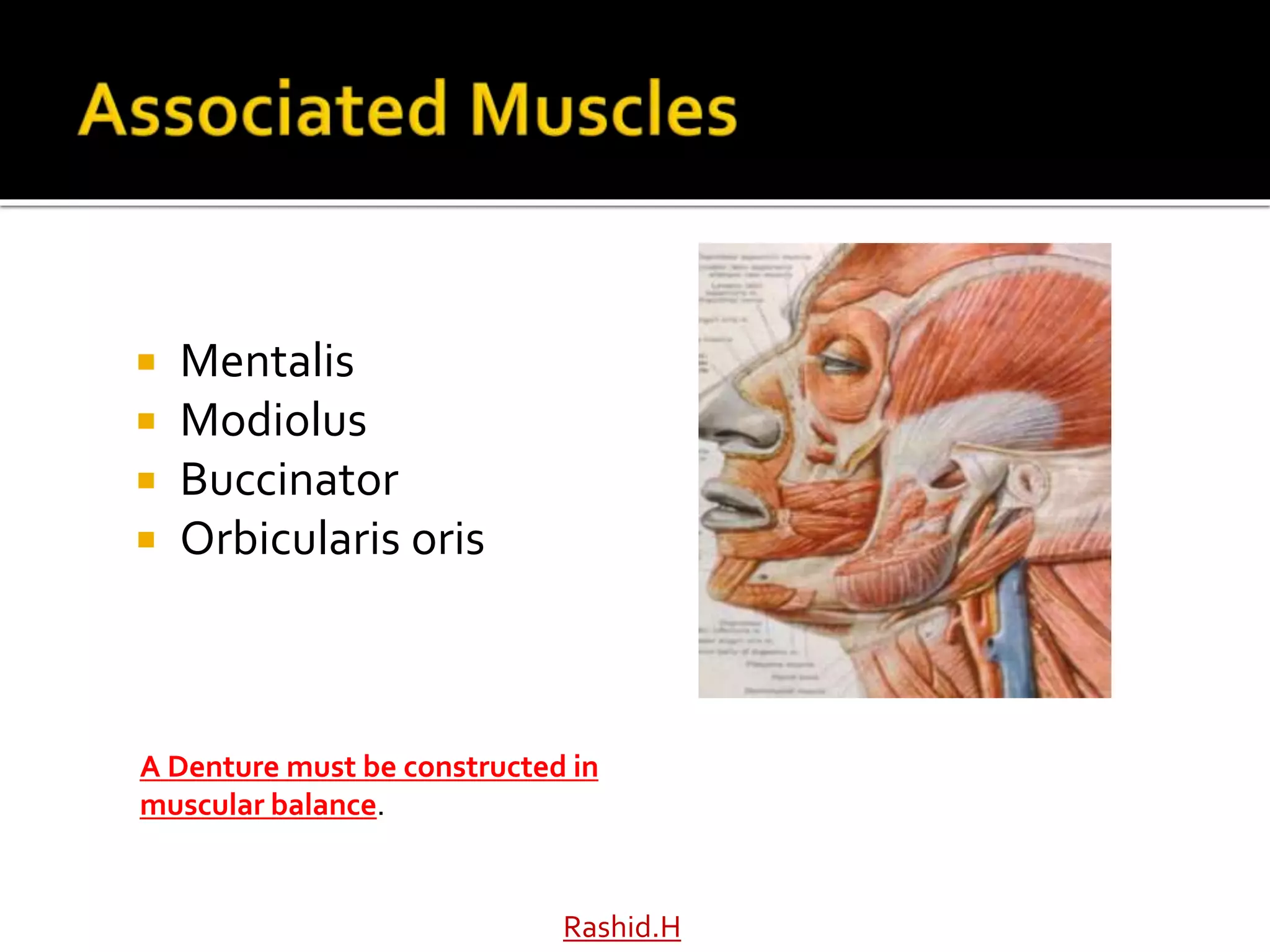  Mentalis
 Modiolus
 Buccinator
 Orbicularis oris
Rashid.H
A Denture must be constructed in
muscular balance.
 