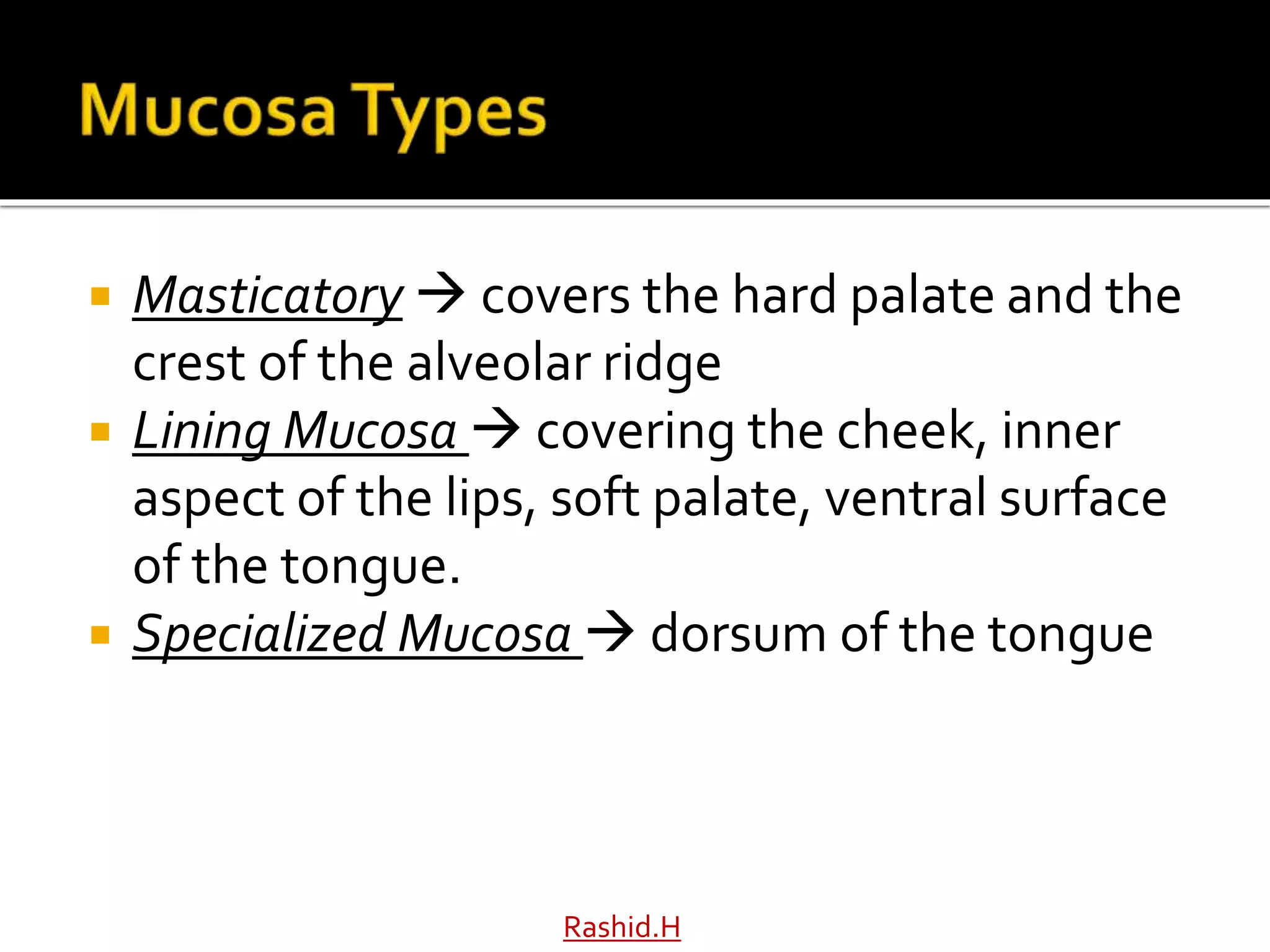  Masticatory  covers the hard palate and the
crest of the alveolar ridge
 Lining Mucosa  covering the cheek, inner
aspect of the lips, soft palate, ventral surface
of the tongue.
 Specialized Mucosa  dorsum of the tongue
Rashid.H
 