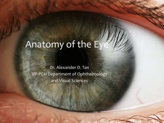 Anatomy of the Eye

         Dr. Alexander D. Tan
 UP-PGH Department of Ophthalmology
         and Visual Sciences
 