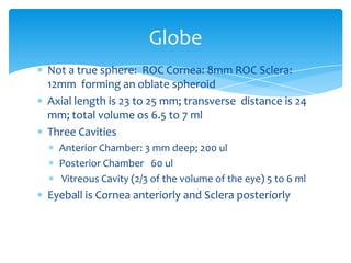 Modd Roc Sphere Anatomy for lu4 | PPTX