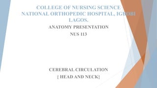 Presentation on cerebral circulation in anatomy .pdf
